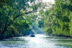 sundarbans