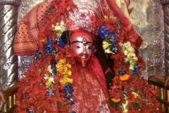 Private Guided Day Trip to Tarapith