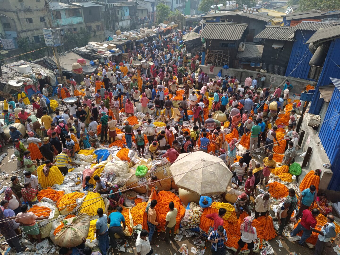 Mallick-Ghat-Flower-Market